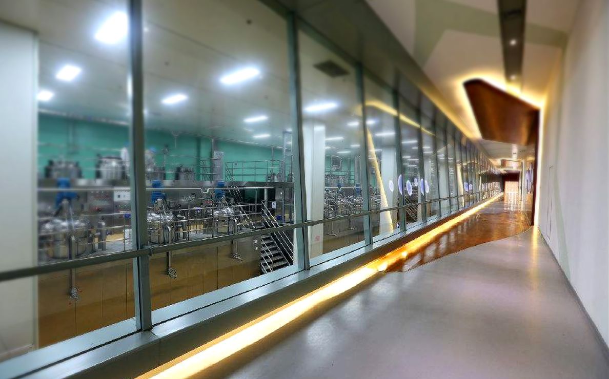 3900 متر مربع من أرضيات الفينيل المتجانسة، يوليو 2025، منشأة لإنتاج الأغذية في جيانغسو